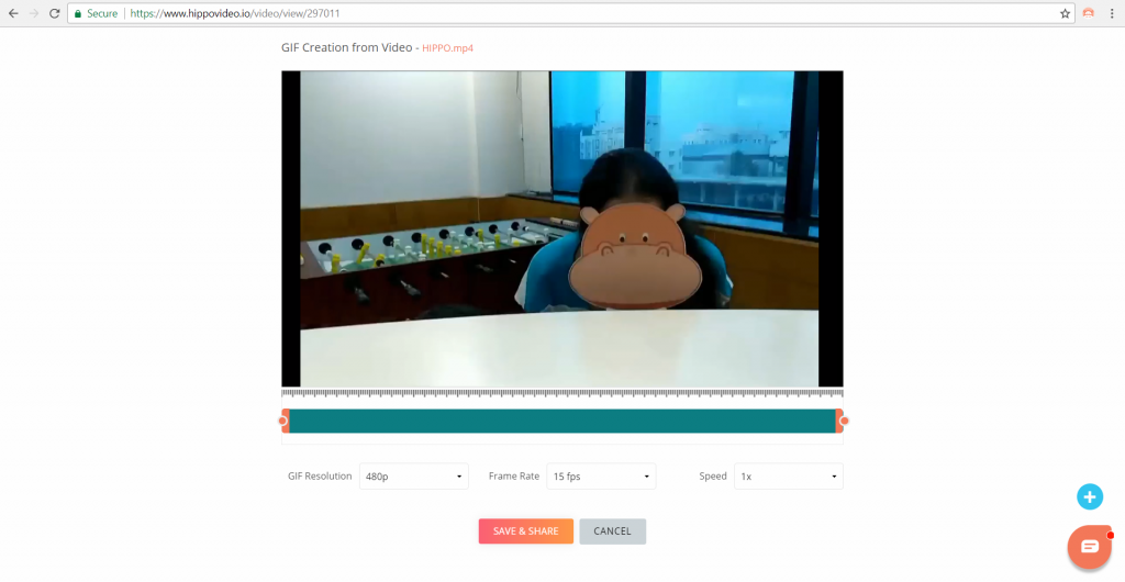 hippo video GIFs creation